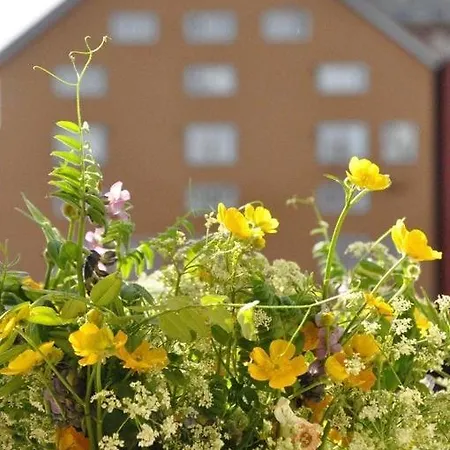 דירה Two-floor By Gamle Bybro